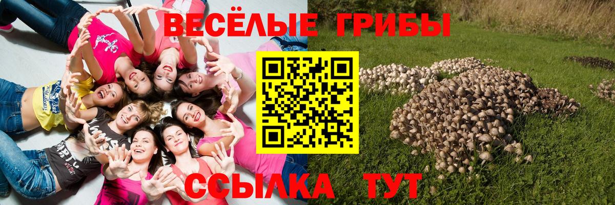 Галлюциногенные грибы мицелий  Вход с VPN  Чехов 